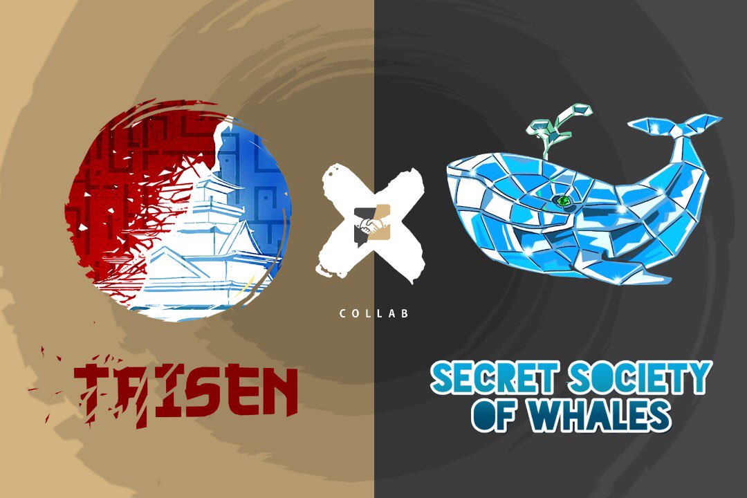 Secret Society of Whales 🐋 tweet media