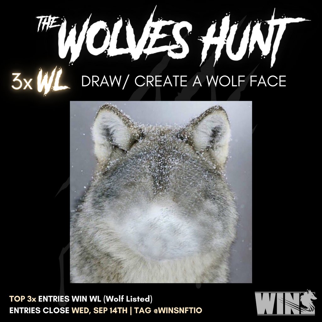 Wolves In NFT Street | WIN$ tweet media