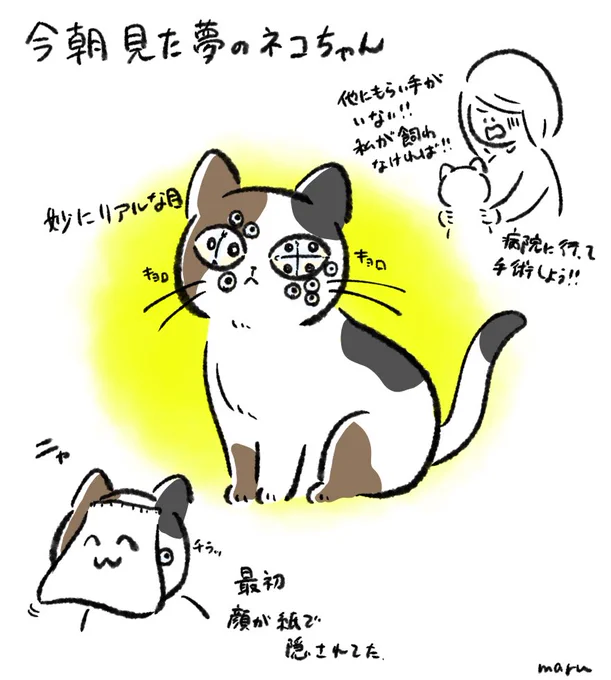 夢に出てきたネコちゃん…怖かったけど飼おうとしていた自分… 