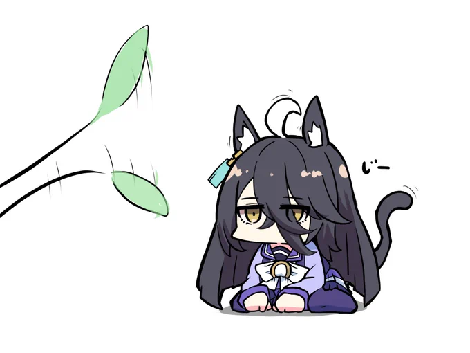 ネコカフェrkgk 