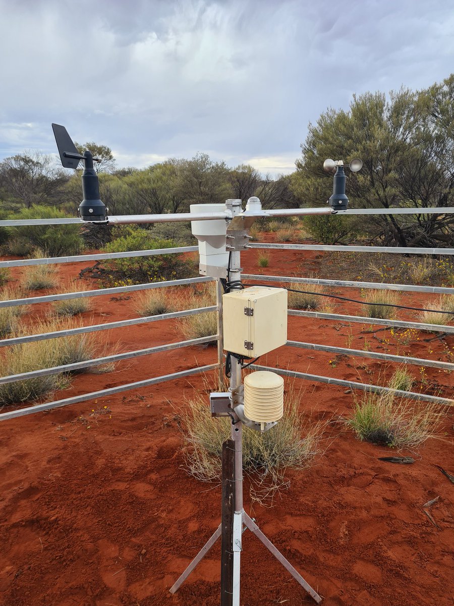 Leighton Wilksch tweet media