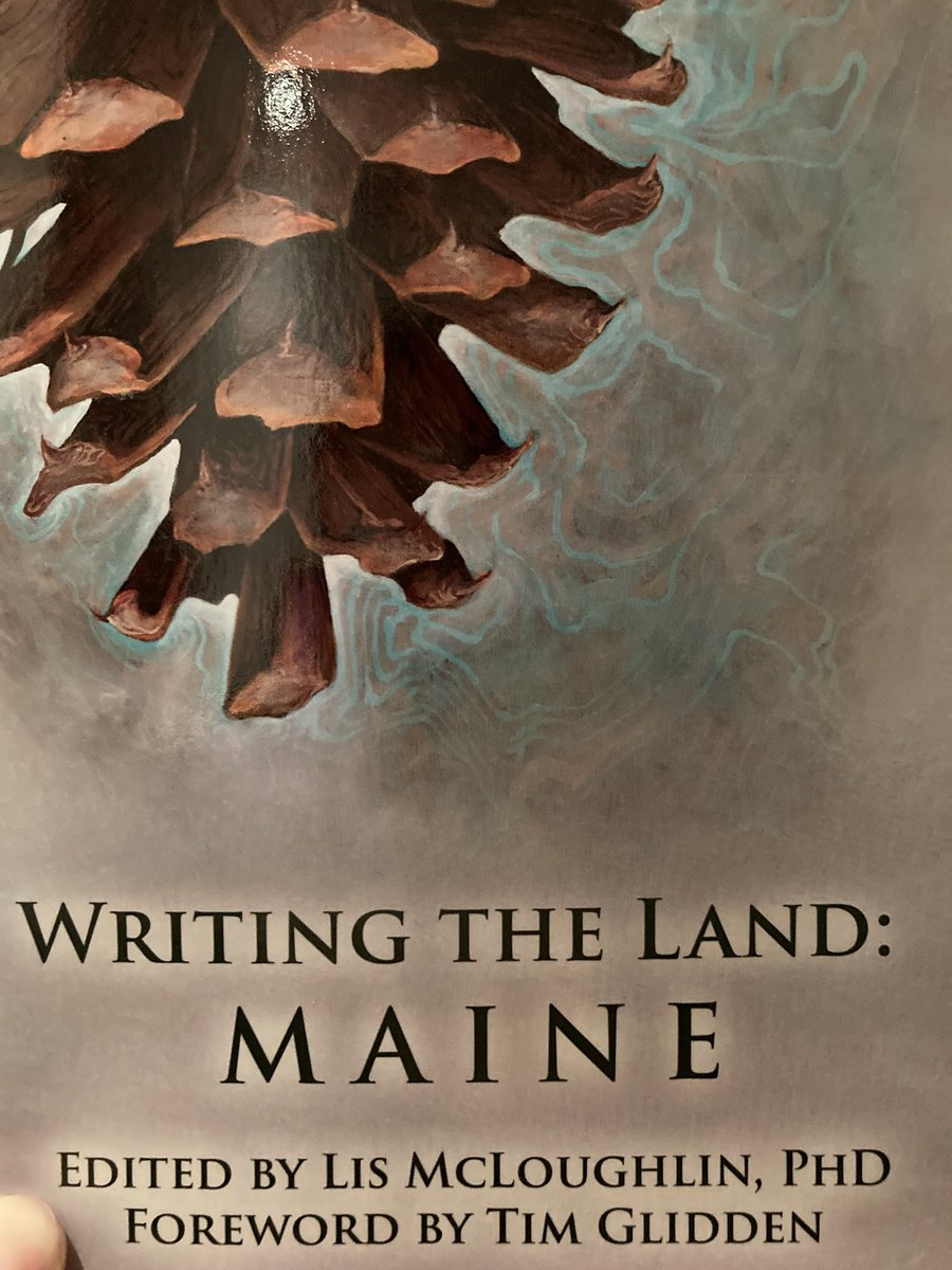 MphStanley's tweet photo. Thank you to the #WritingTheLand project for allowing me to write about the #MousamLake land trust. Deering Pond was a refuge growing up, and I’m glad I could celebrate it in your latest book! https://t.co/CYAEv8lQ4h