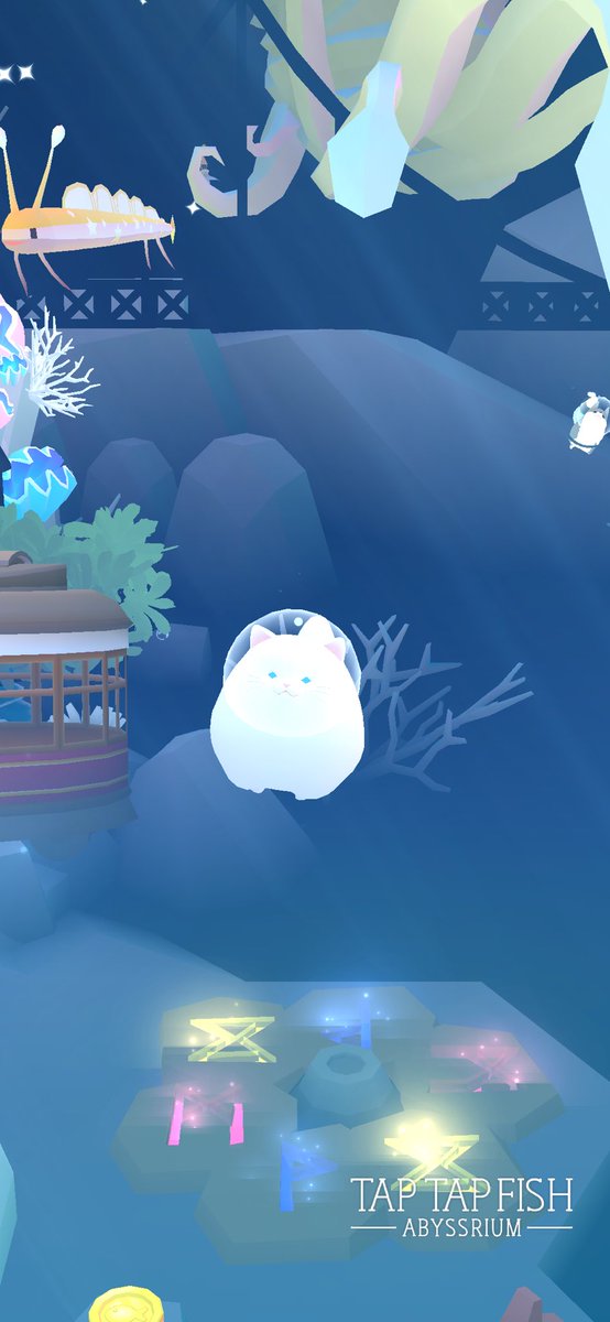 Brandon M. tweet media