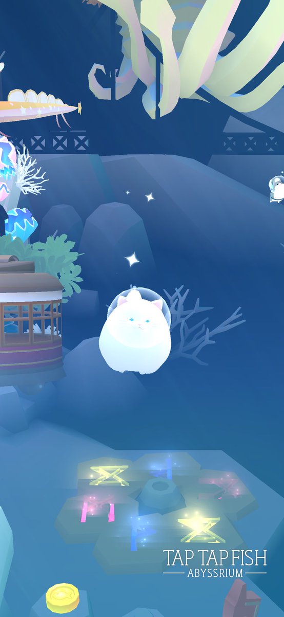 Brandon M. tweet media