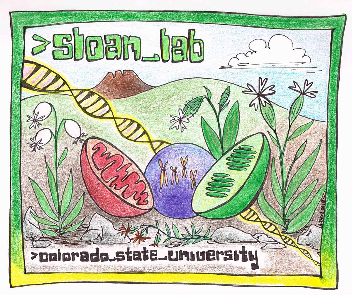 Please RT!! Our lab is recruiting a PhD student for the current application cycle (fall 2023 start). Please get in touch if you're interested in molecular evolution, including mutation rate evolution, DNA repair mechanisms, and cytonuclear interactions.

sites.google.com/site/danielbsl…