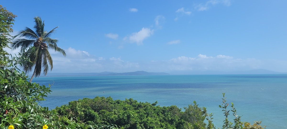 frannyfouff's tweet photo. Morning Walk #portdouglas https://t.co/aAWGQhXocV