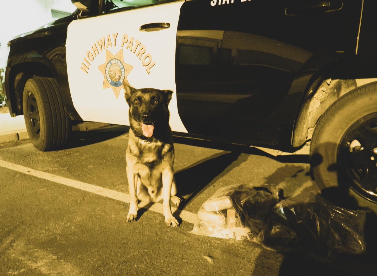 CHP_HQ's tweet photo. Final numbers for 2022 Labor Day MEP: 27 people lost their lives, 937 arrested for DUI, @CHP_Border and @CHPBaldwinPark stopped street takeovers and @chp_merced K9โs were hard at work! Help your community, join the CHP today! #Safety #Service #Security #CaliDDP #JoinTheCHP1000 https://t.co/FutPPbWFln