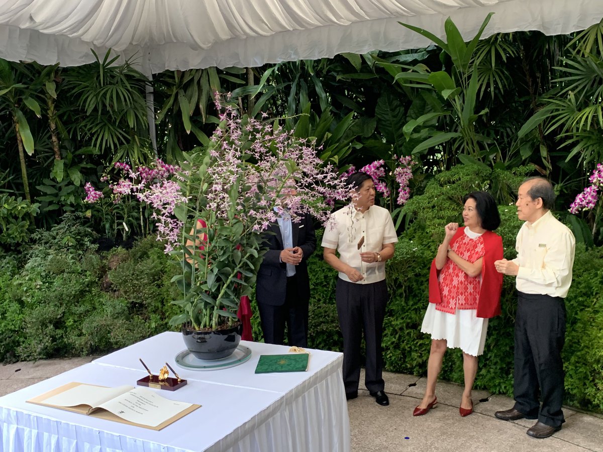 ABSCBNNews's tweet photo. LOOK: President Ferdinand Marcos Jr begins his second day of state visit to Singapore by going to the National Orchid Garden, Wednesday morning. 

To honor his state visit, a hybrid orchid plant is named after him and First Lady Liza Marcos. | via @joycebalancio https://t.co/mWZDxKRJdg