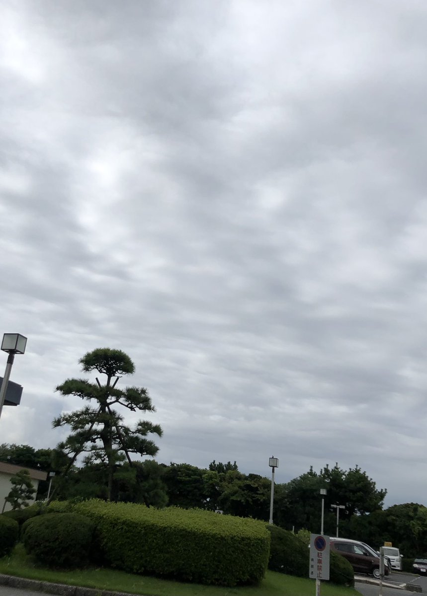 mimi13loved's tweet photo. 大急ぎでタクシー乗って病院来たんだけど。

予約、明日だった。

 #抜糸するの
 #指切ったの
 #指縫ったの https://t.co/zOiLNi4BnH