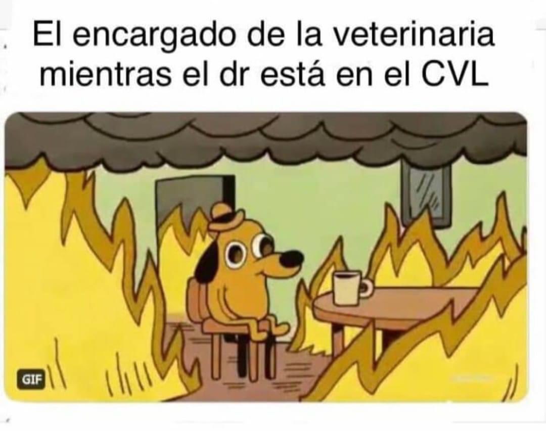 SQUENDA's tweet photo. 🔥 🏥 #LoQueCirculaEnLaRed #CVDL2022 #EsMeMe @cvdlnet https://t.co/l9CGZx5mqQ