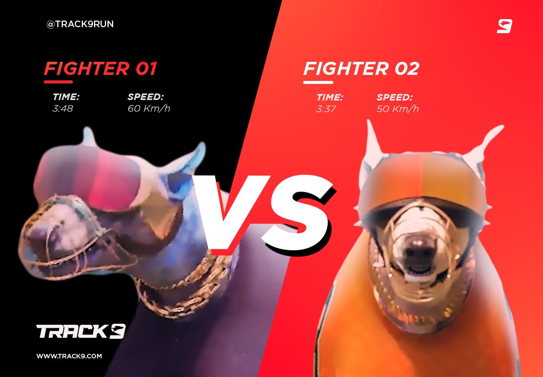 Track9run_'s tweet image. Where do you want to be? Track9 gives you many chances to win. 🐕🏆🐕
#playtoearn #dogs #track9 #spinandgo #bets #profit #greyhounds #nfts #nft #blockchain