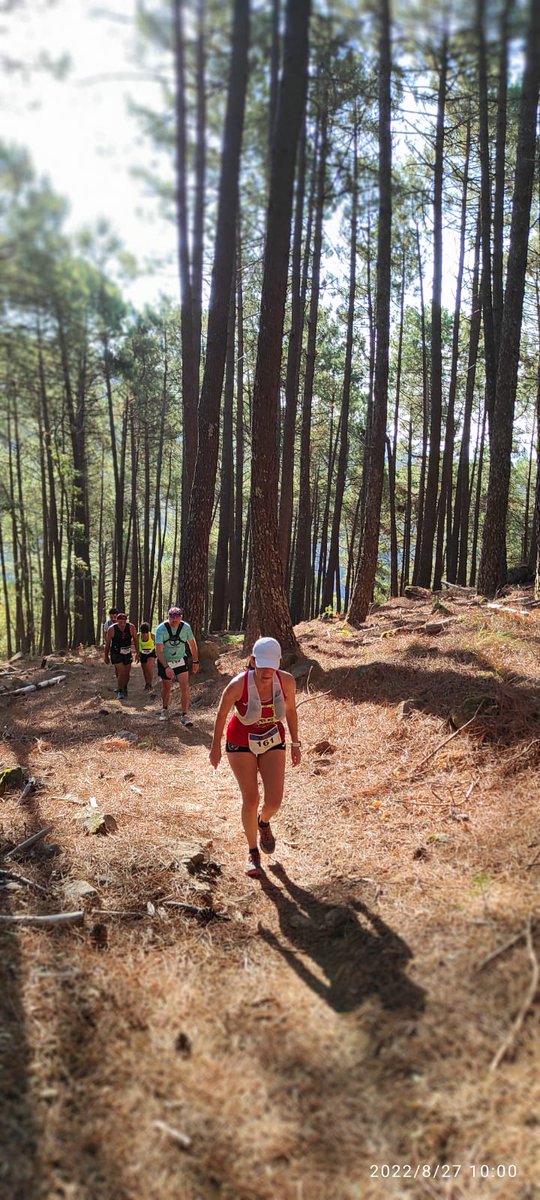 CD Navalmaratón tweet media