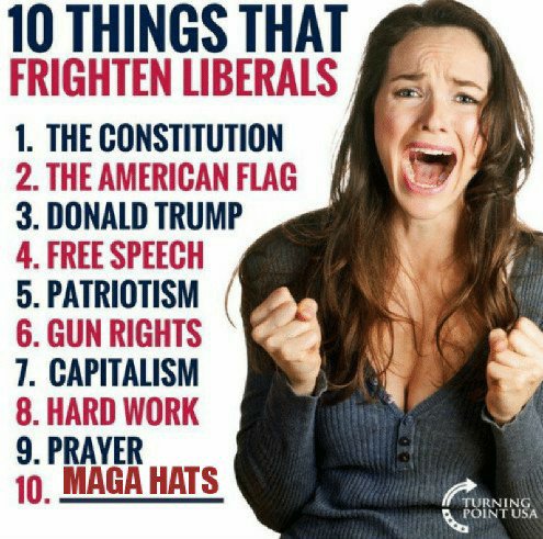 Wil_Johnson1's tweet photo. #UltraMAGA #SemiFacist 😎 https://t.co/RvA2QJrSgf