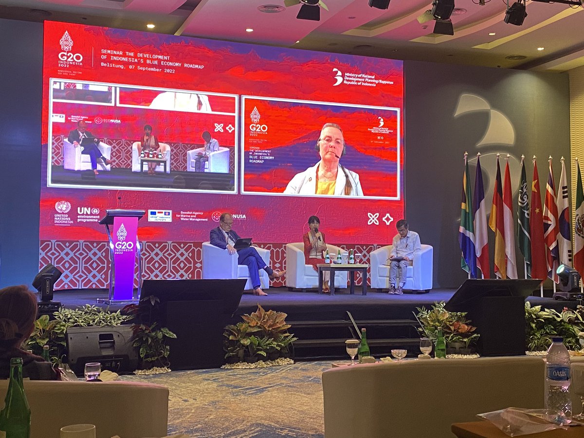 “Human capital is often the most under-utilised resource” ILO’s Michiko Miyamoto <a href="/g20org/">G20 South Africa</a> discusses the positive impact of #SkillsforProsperity gained through upskilling young women and marginalised groups in North Sulawesi
