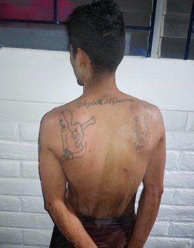 Imagen