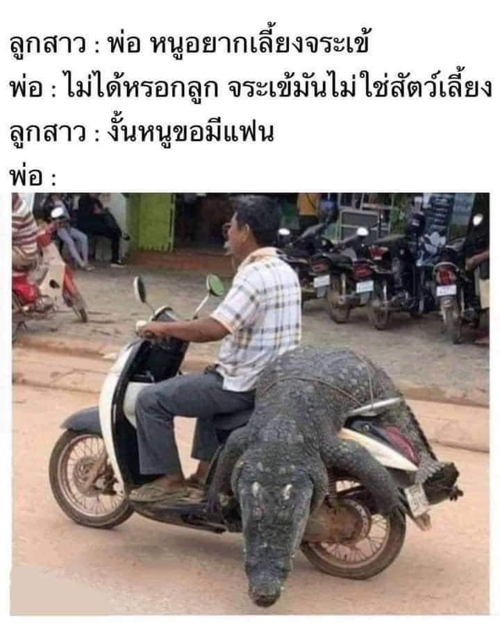 โจลีนขอโจทาโร่555555555555555555