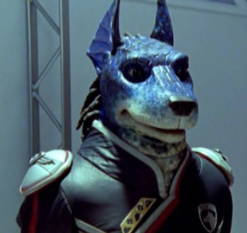 shawarmasimp's tweet photo. how tf did his head get into that helmet is one of the biggest unsolved mystery https://t.co/oHBG0Qdw1A