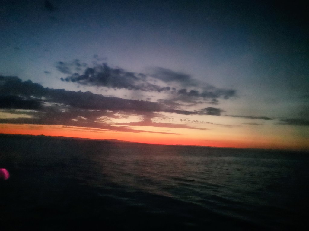 Guarda l'alba che ci insegna a sorridere, quasi sembra che ci aiuti a rinascere #sunrise <a href="/CarmenConsoli/">Carmen Consoli</a>