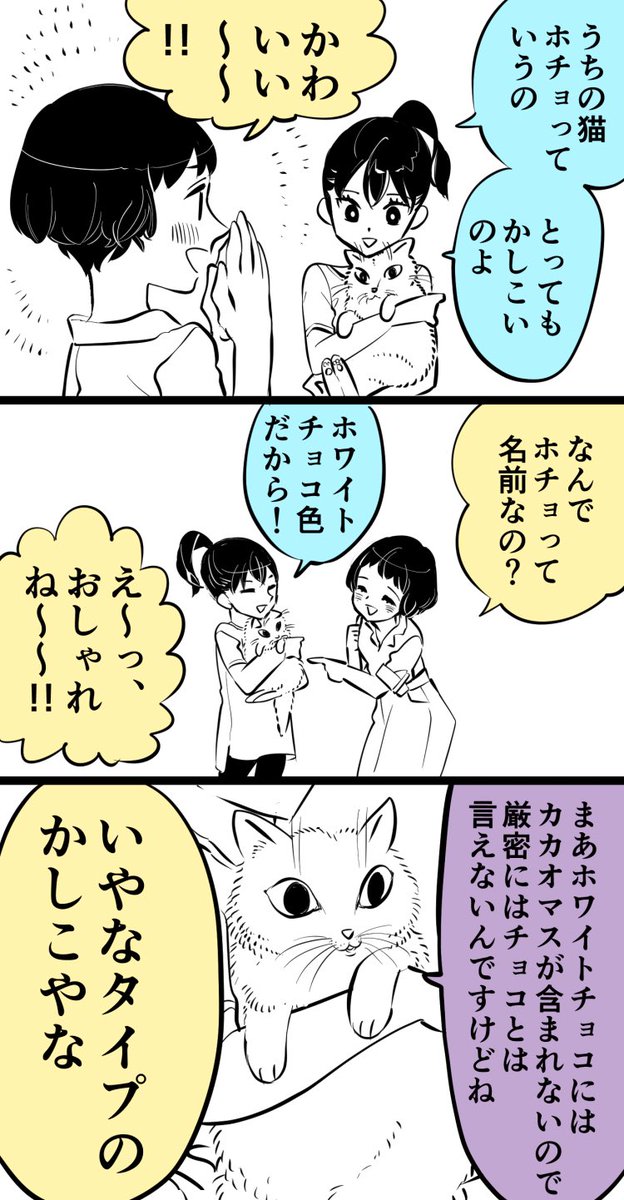 かしこ猫ホチョ② 
#創作漫画 