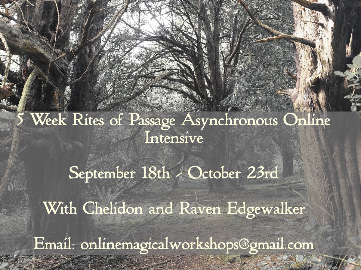 worldtreelyceum's tweet photo. ICYMI: our 5 week online magical intensive, Rites of Passage, starts September 18th - we're almost full, find out more here: https://t.co/b60zAl2zkp

#witchtwt #MagicClass #ReclaimingWitchcraft https://t.co/KGt8YAXFc4