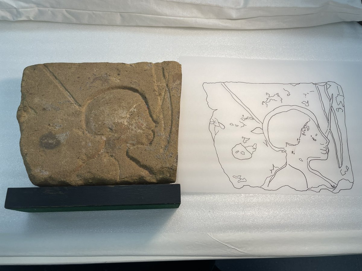 Macquarie_Uni's tweet image. The theme of #historyweek2022 is #handsonhistory so we’ve been working with students on practical skills today. Prof Martin Bommas (Museum Director) led a workshop on copying ancient inscriptions and reliefs - a practice known as ‘epigraphy’. Painstaking work! @MacquarieMuseum
