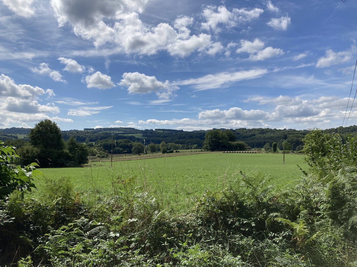 CL_Samstag's tweet image. Downside: Covid finally caught up with us right at the beginning of our trip to the French countryside.

Upside: There's worse places in the world to be stuck in quarantine