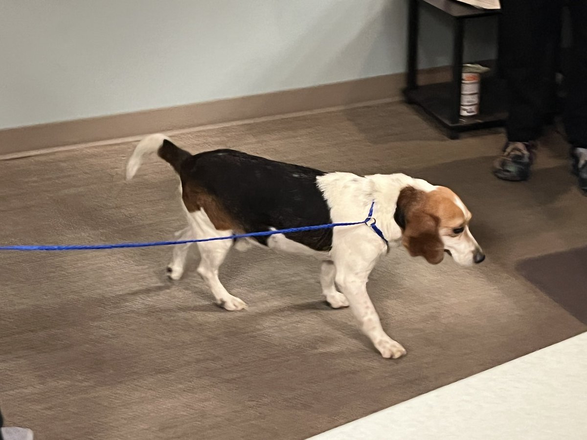 Frances Weller| News Anchor| Managing Editor tweet media