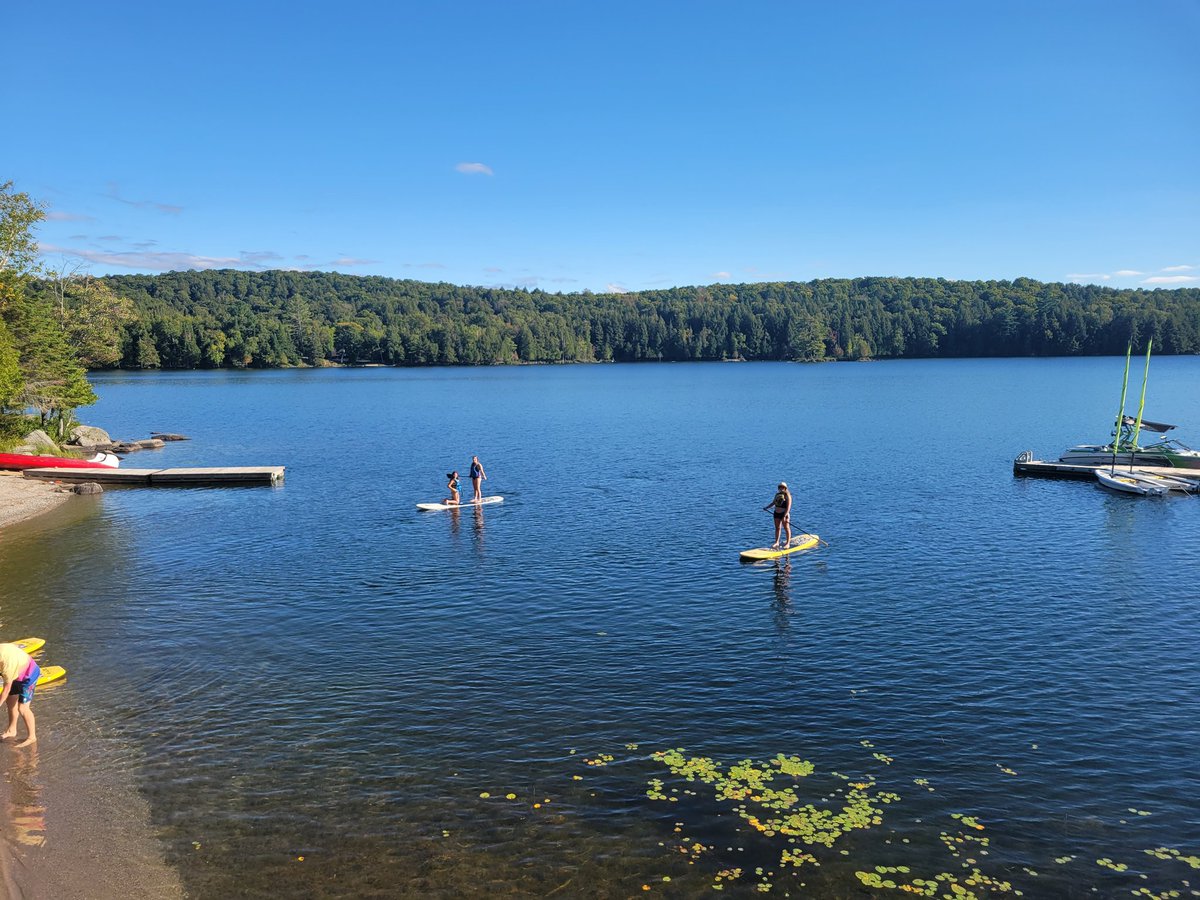 a_lossing's tweet photo. Not a bad way to spend your first day back at school! ;) Our Grade 11s &amp; 12s enjoyed lots of time together in the water on this warm sunny September day #yorklearns https://t.co/KDbTFoMI3l