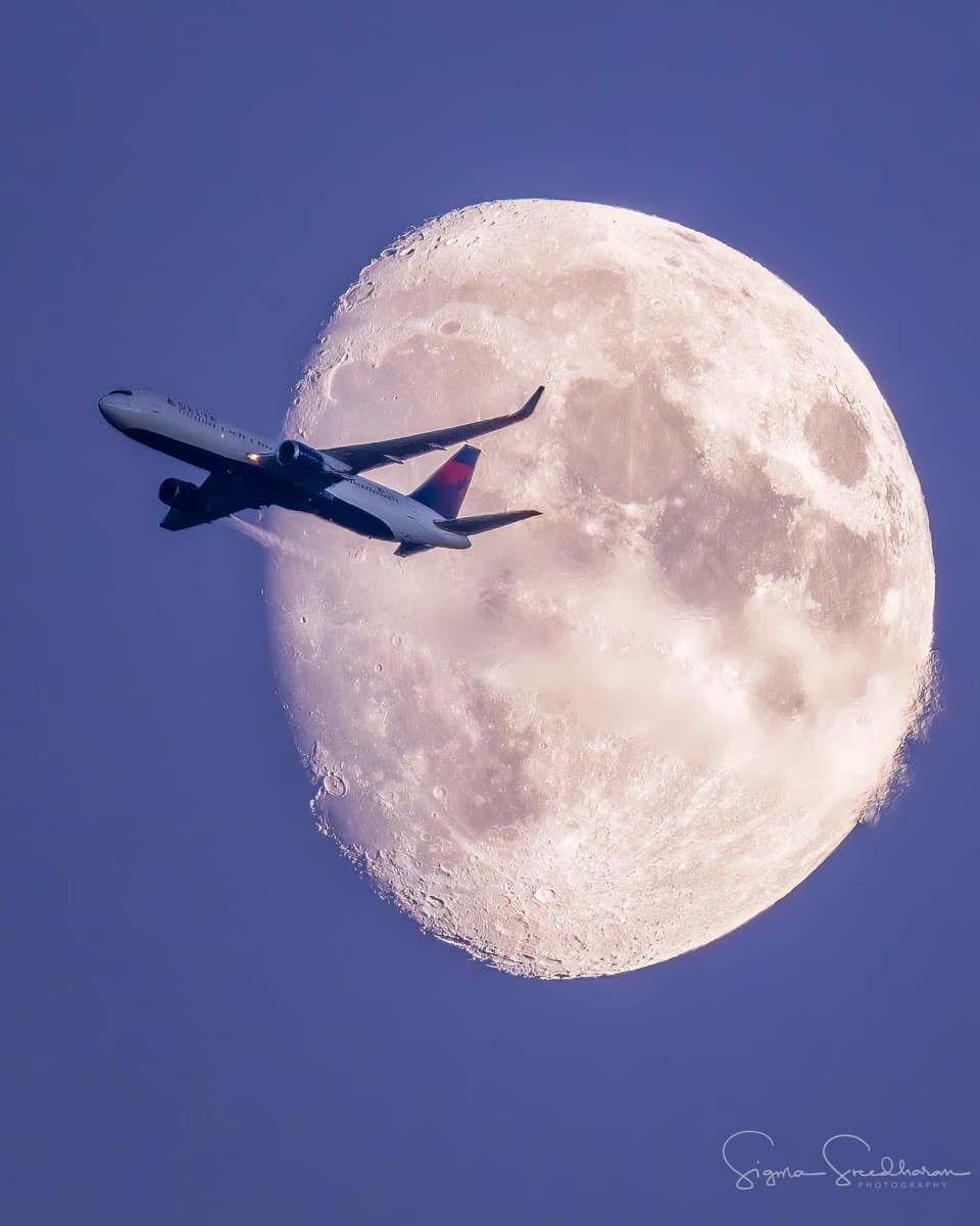 alexowitz's tweet photo. @Delta one of my fav local photographers took this the other day here at SEA 😍

📷: Sigma Sreedharan https://t.co/8ngDpy7NCF