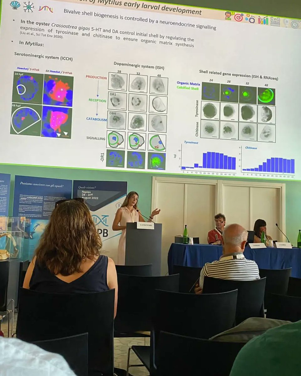 Angelica Miglioli (@angiemiglio) on Twitter photo Postcards from the 32nd ESCPB congress in beautiful Napoli: meaningful science, great scientists, old and new friends, amazing venue and new exciting collaborations.
<a href="/IMEV_mer/">IMEV-Institut de la Mer de Villefranche</a> <a href="/biodev_vlfr/">LBDV Villefranche</a> <a href="/AscidianBioCell/">AscidianBioCell</a> <a href="/ESCPBeu/">ESCPB</a> Postcards from the 32nd ESCPB congress in beautiful Napoli: meaningful science, great scientists, old and new friends, amazing venue and new exciting collaborations.
<a href="/IMEV_mer/">IMEV-Institut de la Mer de Villefranche</a> <a href="/biodev_vlfr/">LBDV Villefranche</a> <a href="/AscidianBioCell/">AscidianBioCell</a> <a href="/ESCPBeu/">ESCPB</a>