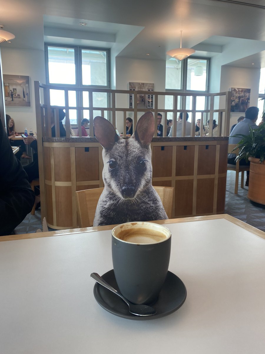 My coffee date this morning in Parliament House #NationalThreatenedSpeciesDay