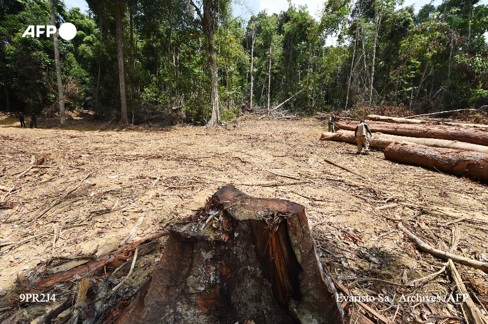 afpfr's tweet photo. "Alerte rouge" en Amazonie : 26% de l'écosystème du poumon vert de la planète est irréversiblement détruit à cause de la déforestation, du narcotrafic et de la contamination, ont averti des dirigeants indigènes réunis à Lima, au Pérou #AFP https://t.co/FYzlyfUoXT