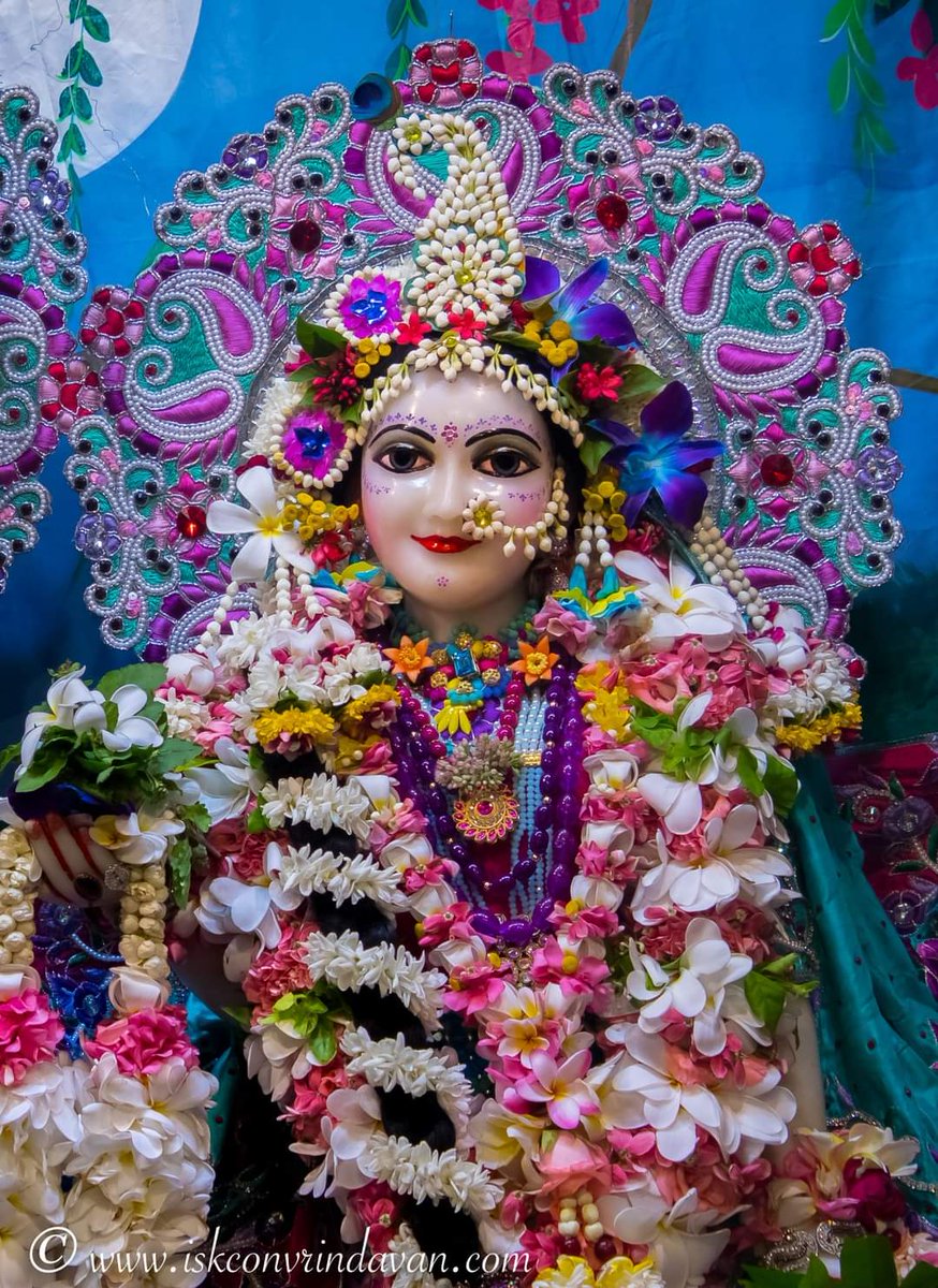 atulkrishnaak's tweet photo. Happy Parsva Ekadashi 💜  Watch 👇
https://t.co/blLLY0cnUU https://t.co/WFNY3ZaXwf