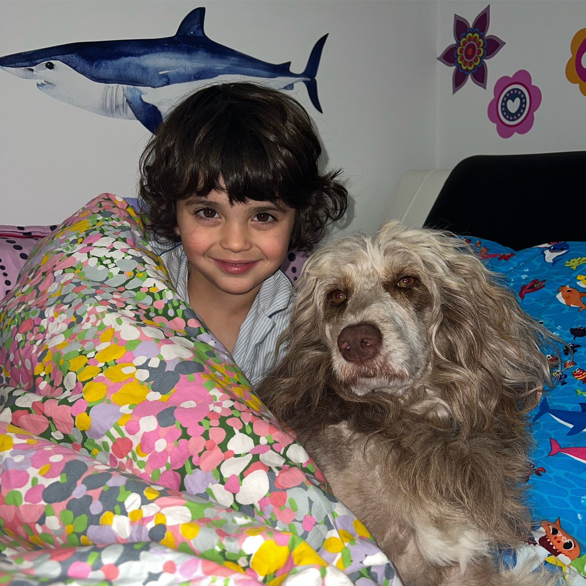 TopherBrophy's tweet image. Oldest &amp;amp; Youngest 🌙😴💤 nighty night &amp;amp; humongous love to all, TB❤️