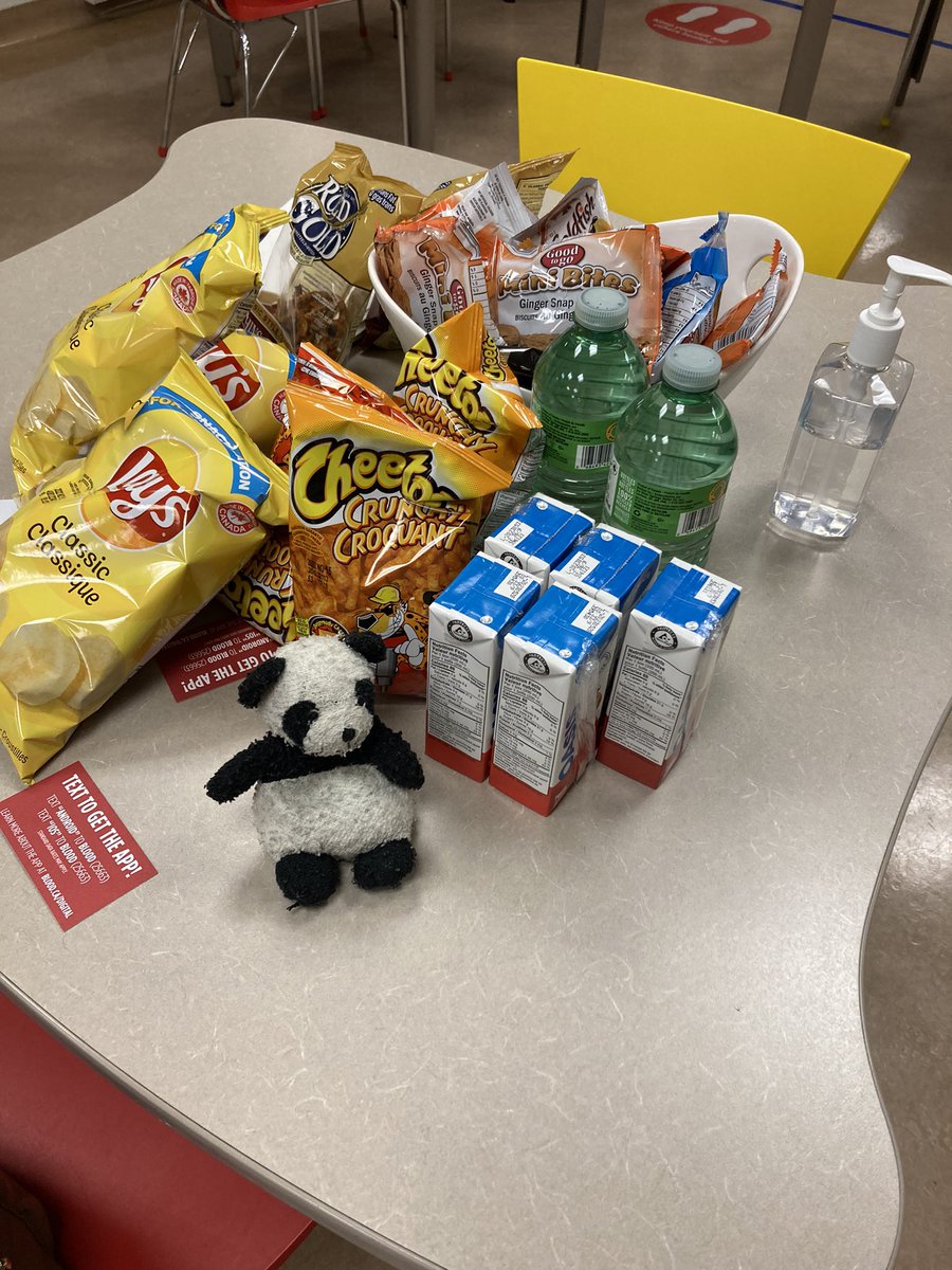Adventure_Gauss's tweet photo. Went with my human on an important adventure today, I was a supportive bear and she gave blood. We both got to have a snack after! If you are able to give blood, it’s an amazing thing to do. #supportbear #giveblood #canadasLifeline #blooddonation @CanadasLifeline @HemaQuebec https://t.co/xwhEO6ALWO