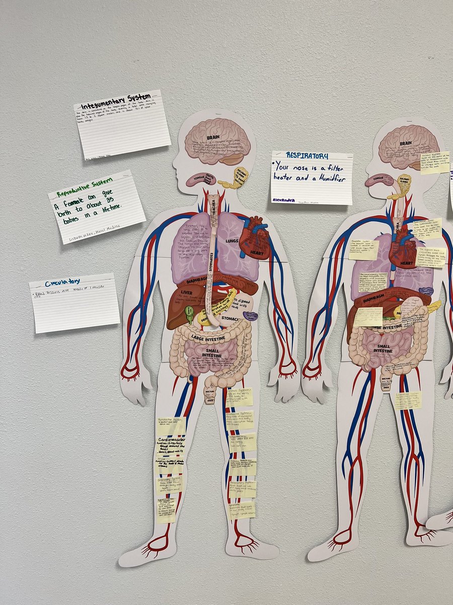 Grateful for the team of stellar educators at #SEHS and their concerted efforts to ensure #CCMR learners #SEHSthebest #GEARUP <a href="/TNTP/">TNTP</a>