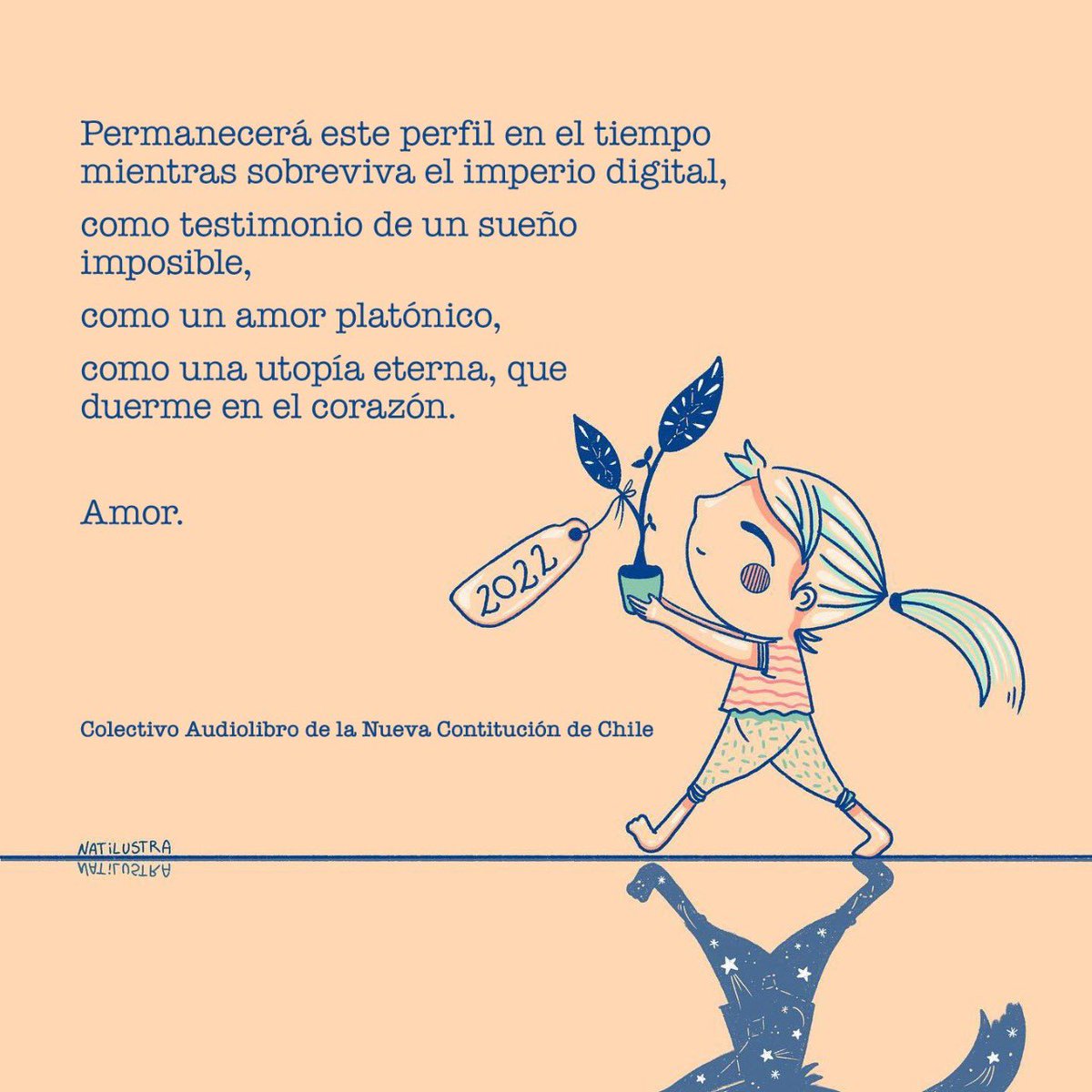 Audiolibro de la Nueva Constitución de Chile tweet media