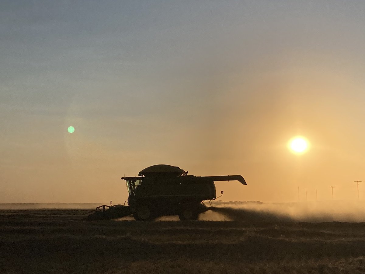 You’re never to old to learn new things? Capped off the day w/ my 1st durum fungicide trial, thanks to the Beernaert’s 
<a href="/BarneySlum/">Jason Beernaert</a>
