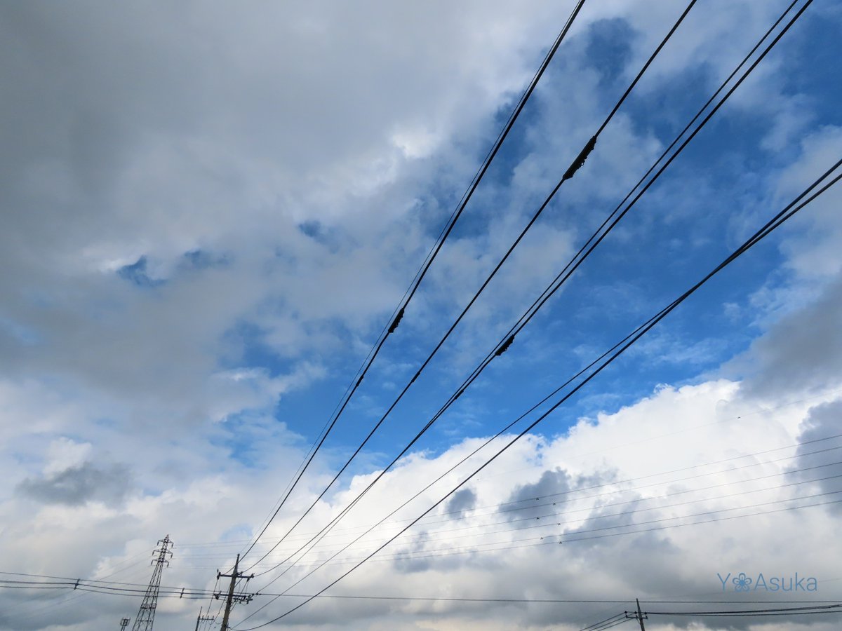 yumeasutw's tweet photo. 空一杯に #雄大積雲 がモクモク頭頂部の白さが眩しい水曜日の朝🌥️
モワァ～と蒸し暑いです😵💦

予想最高/最低気温🌡️29℃/23℃
晴れのち曇りのち雨☀️→☁️→🌧️
午前中から雨がパラつき午後は段々降り出し蒸し暑い１日となりそう💦

#空の名前
#天気の図鑑 #雲友の会
#青空
#鉄塔
#a2022 #a0907 #a202209 https://t.co/9dJ0LoQbPY