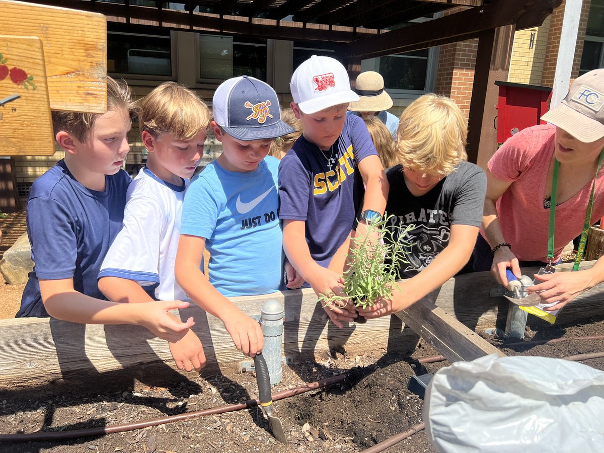 MsGreen4thgrade's tweet photo. We had the best time at Garden today🪴🌻👩‍🌾🧑‍🌾 #deepintheheartofarmstrong @ArmstrongHP https://t.co/yLRGGmh8SB