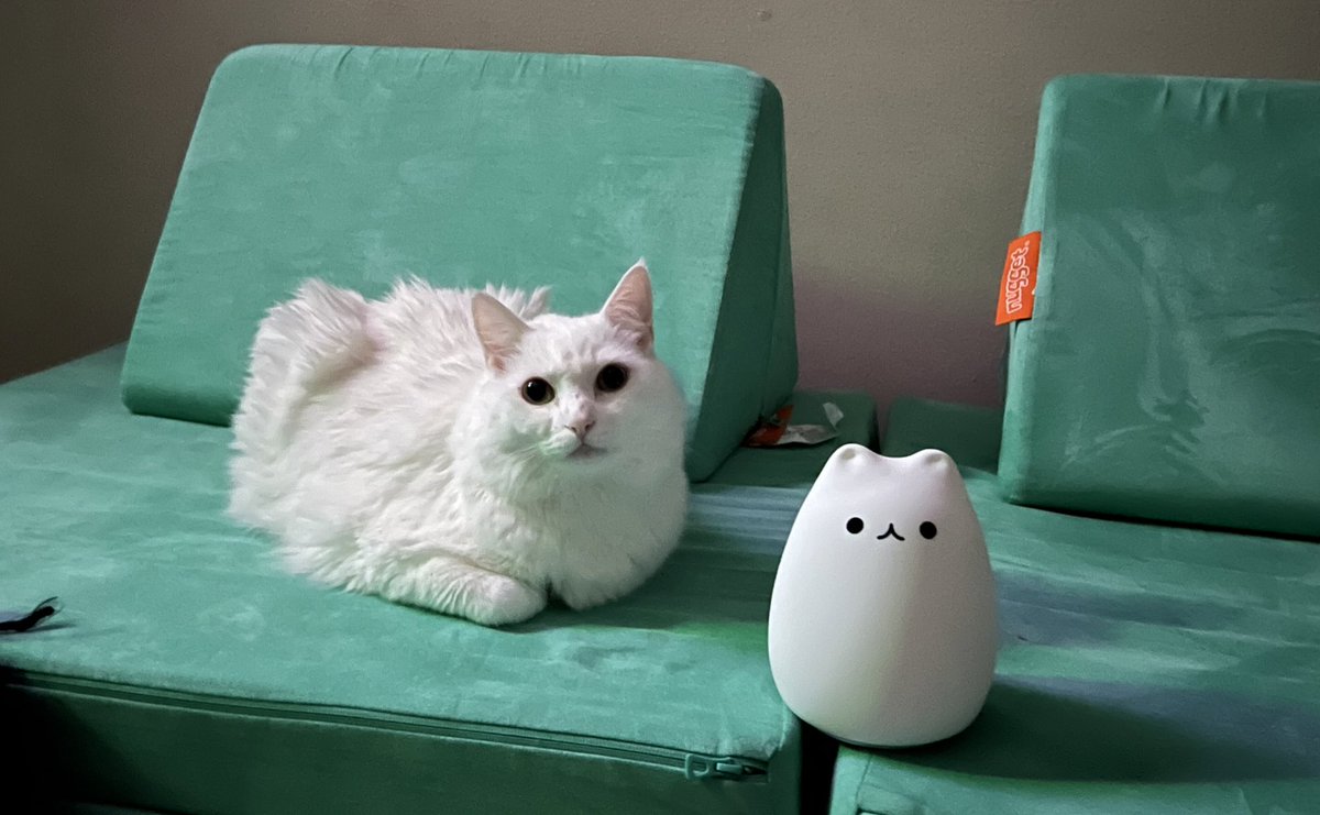 eggs_cat's tweet photo. who is Reel,,.. and who is ‘’Impostor?” https://t.co/AOmT1d71NQ