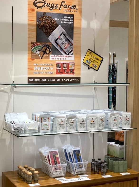 【昆虫食通販】バグズファーム｜BugsFarm tweet media