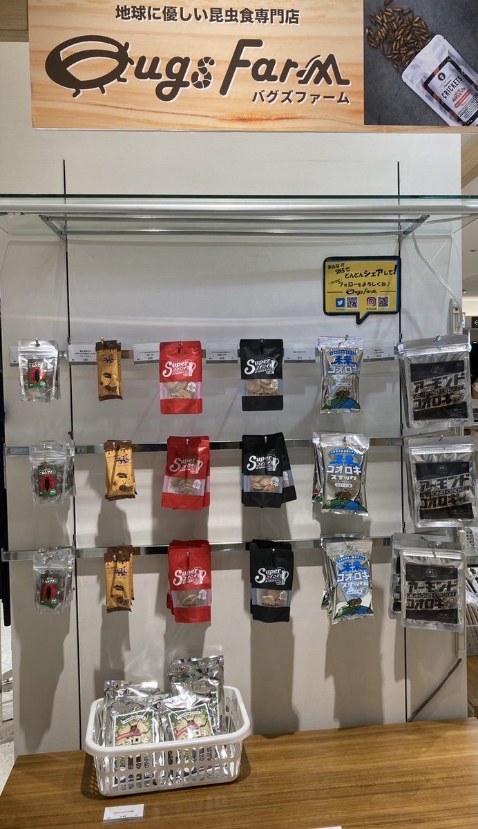【昆虫食通販】バグズファーム｜BugsFarm tweet media