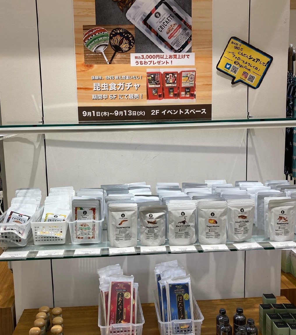 【昆虫食通販】バグズファーム｜BugsFarm tweet media