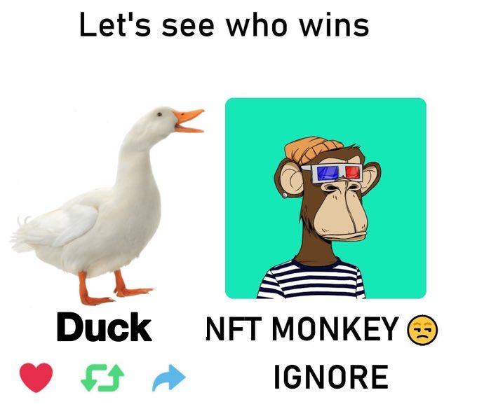 Nexqal's tweet photo. DUCK > NFT https://t.co/YrnM0lQwV4