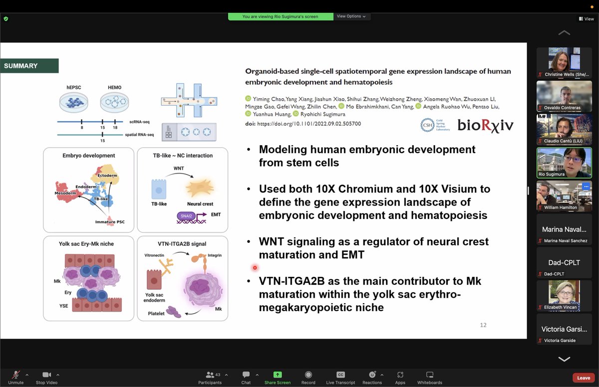 osvaldoics's tweet photo. Thanks @ClaudioCantu81 &amp; @rio_sugimura for today's Talks at National Stem Cell Conversations🗺️!

I had lots of fun and I would have continued discussing your incredible science for hours. Again, thanks for accepting my invitation 🙏 @the_ASSCR #SingleCell #WntSignalling #Embryo https://t.co/YmLpBJ5Pj7