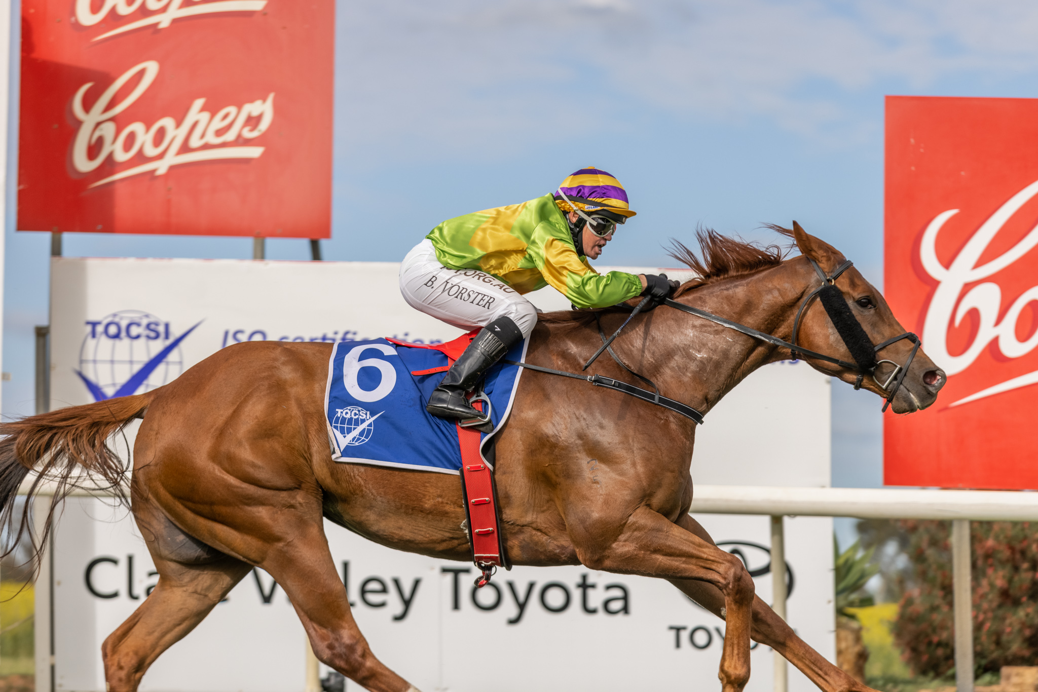 Racing SA on Twitter ".mcevoymitchell & Clarken_Racing both have