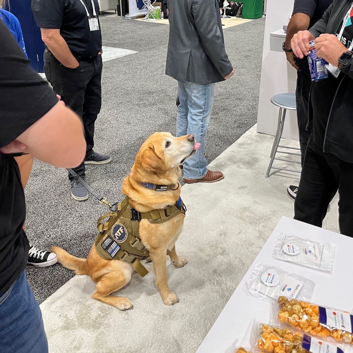 tpgliveevents's tweet photo. #FetchKC was a successful show, teeming with attendees. Our client's exhibit was busy with prospects excited to play the spin and win game for a prize. Thanks to our client, our team and the doggie 🐶 #EventProf @fetchdvm360 #Veterinarians #VetTech https://t.co/WiPs4ir7tM https://t.co/7SQwJWTySz