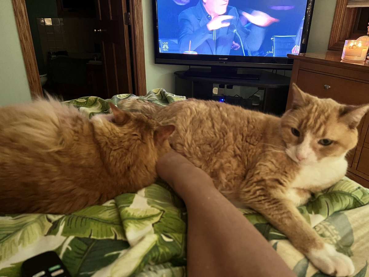 ItsMeDeaner's tweet image. Foot pillow #notmoving