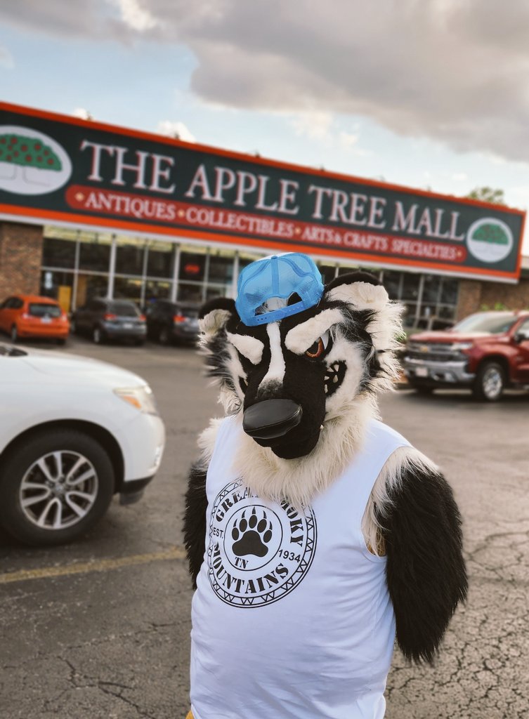 Gone antiquing!

#furry #furryfandom #fursona #fursuit #fursuiter #goodtimes #havingfun #havingablast #havingagoodtime #missouri #branson #bransonmissouri #ilovebranson #travel #traveling  #havingfun #havingablast #exploring #explorebranson #antiques #antiqueshop